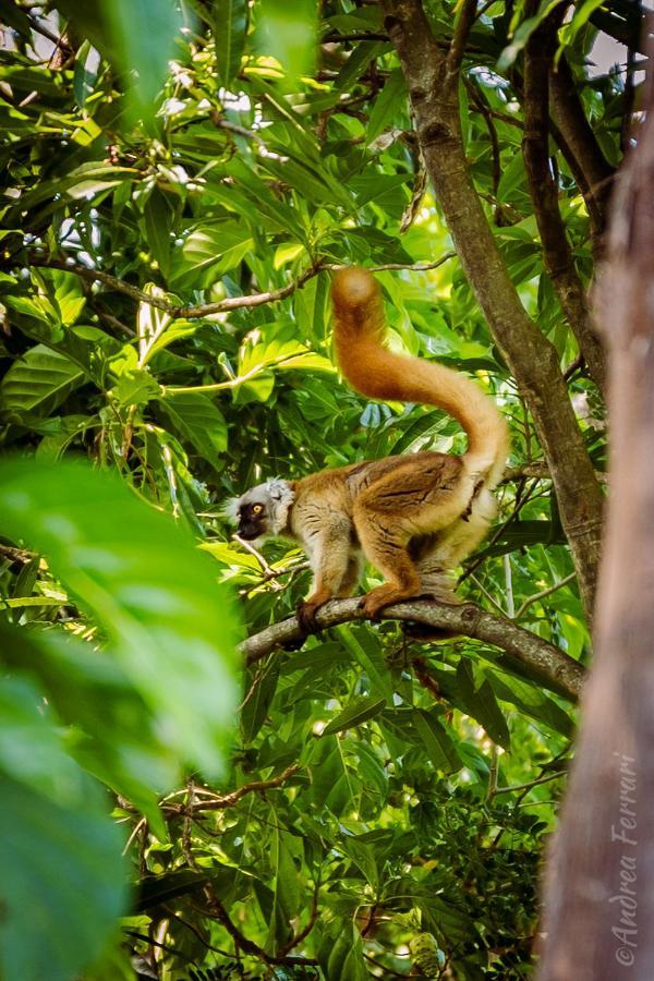Sakatia Lodge Ampasimena Luaran gambar