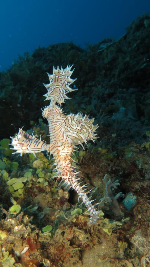 Sakatia Lodge Ampasimena Luaran gambar