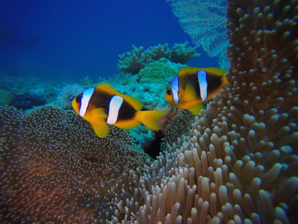 Sakatia Lodge Ampasimena Luaran gambar